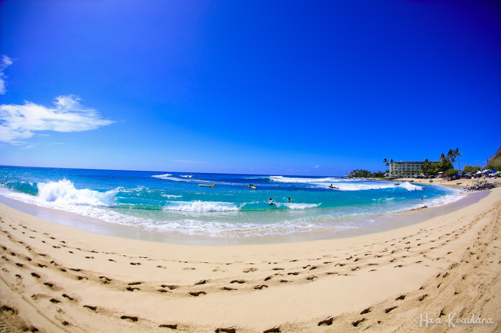 Buffalo Big Board Classic